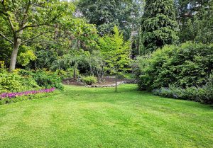 Optimiser l'expérience du jardin à La Seyne-sur-Mer