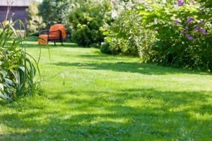 travaux jardin et paysage La Seyne-sur-Mer